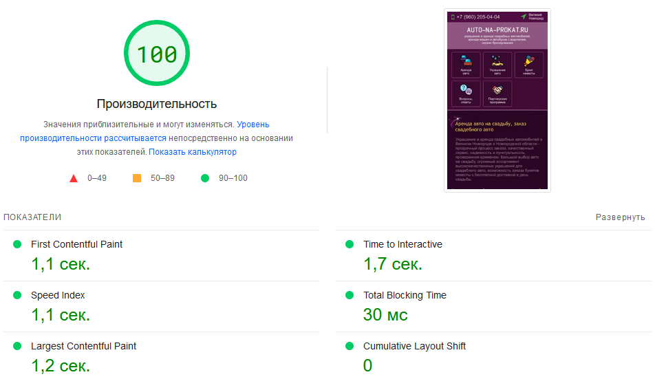 Pagespeed - 100 из 100 по мобильной версии